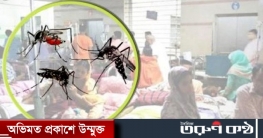 ঢাকা বিভাগে একদিনে ৩৬ জন ডেঙ্গু আক্রান্ত ঢাকা বিভাগে একদিনে ৩৬ জন ডেঙ্গু আক্রান্ত