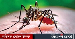 হাজারের বেশি ডেঙ্গু রোগী হাসপাতালে ভর্তি হাজারের বেশি ডেঙ্গু রোগী হাসপাতালে ভর্তি
