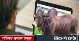 ডিজিটাল হাটে এক লাখ পশু বিক্রির টার্গেট, আগে গরু পরে টাকা ডিজিটাল হাটে এক লাখ পশু বিক্রির টার্গেট, আগে গরু পরে টাকা