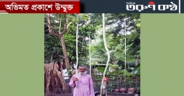 খুলনায় ৭ হাত লম্বা চিচিঙ্গা! খুলনায় ৭ হাত লম্বা চিচিঙ্গা!