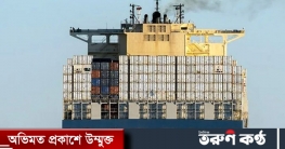 আবারও ইসরাইলি অস্ত্র বোঝাই করতে ইতালির বন্দরকর্মীদের অস্বীকৃতি