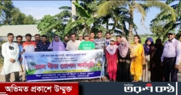 শেরপুরের নালিতাবাড়ীতে টিআইবি এর উদ্যোগে তালবীজ রোপন শেরপুরের নালিতাবাড়ীতে টিআইবি এর উদ্যোগে তালবীজ রোপন