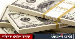 প্রবাসীরা ১১ মাসে পাঠিয়েছেন ১ লাখ ৯৪ হাজার কোটি টাকা