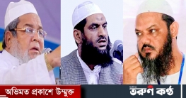 বাবুনগরী ও মামুনুল হকের বিরুদ্ধে মামলার প্রতিবেদন ৩ ফেব্রুয়ারি