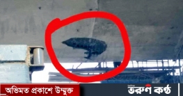 খসে পড়ল নির্মাণাধীন পায়রা সেতুর পলেস্তারা