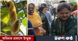 চসিক নির্বাচনে ‘বিলাই খামচি’ প্রয়োগের অভিযোগ
