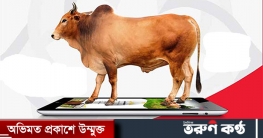 ৬ দিনে ২০৬ কোটি টাকার কোরবানির পশু অনলাইনে বিক্রি ৬ দিনে ২০৬ কোটি টাকার কোরবানির পশু অনলাইনে বিক্রি