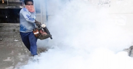 মশা নিয়ন্ত্রণে কাল থেকে ডিএনসিসিতে চিরুনি অভিযান মশা নিয়ন্ত্রণে কাল থেকে ডিএনসিসিতে চিরুনি অভিযান