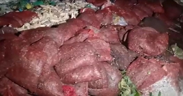 কুমিল্লায় ময়লার স্তুপে মিলল ৭০ বস্তা পচা পেঁয়াজ কুমিল্লায় ময়লার স্তুপে মিলল ৭০ বস্তা পচা পেঁয়াজ