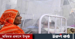 এডিস মশার কামড়ে ২৪ ঘণ্টায় ২৬৫ রোগী হাসপাতালে ভর্তি