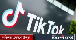 টিকটকের আয় কত?