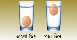 না ফাটিয়ে পচা ডিম চেনার উপায়