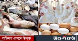 মুরগি, ডিম ও মাছের দাম বেড়েছে