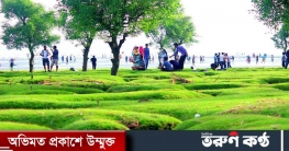 মনভরে প্রকৃতি উপভোগে ঘুরে আসুন গুলিয়াখালী সৈকত
