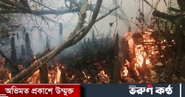 ১১ ঘণ্টায় নিভেনি সুন্দরবনের আগুন, তদন্ত কমিটি গঠন
