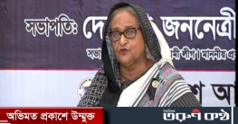 বিএনপি-জামায়াতই গ্রেনেড হামলার জন্য দায়ী : প্রধানমন্ত্রী