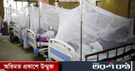 ডেঙ্গুতে আক্রান্ত ২৫৫, প্রাণ গেল আরও একজনের