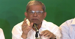ভারতের সঙ্গে দর কষাকষির ক্ষমতা সরকারের নেই: মির্জা ফখরুল
