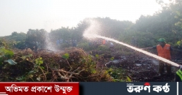 সুন্দরবনে আগুন, পুড়ে গেছে ৩ শতক বনভূমি