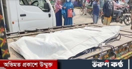 শরীয়তপুরে ছেলের হাতে মা খুন