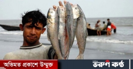 আজ থেকে ২ মাস ইলিশ আহরণ নিষিদ্ধ