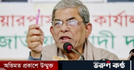 আমলারা এখন সরকারি দলের নেতা : ফখরুল