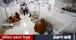 ২৪ ঘণ্টায় আরও ২৫৮ জন ডেঙ্গু রোগী হাসপাতালে ভর্তি ২৪ ঘণ্টায় আরও ২৫৮ জন ডেঙ্গু রোগী হাসপাতালে ভর্তি