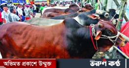 ঈদুল আজহা: ঢাকায় বসছে ২৩ পশুর হাট