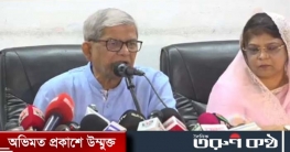 গণতান্ত্রিক উত্তরণের রোডম্যাপের জন্য অপেক্ষা করছি : মির্জা ফখরুল