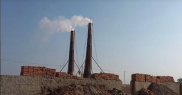 পটুয়াখালীতে আইনের তোয়াক্কা না করেই চালিয়ে যাচ্ছে অবৈধ ইট ভাটা