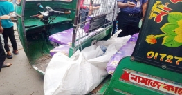 শিক্ষকের শাসনের পর ছাত্রীর আত্মহত্যা!