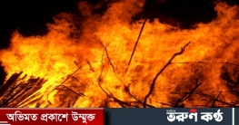 লাকসামে বশতঘরে অগ্নিকাণ্ড, ৮ লাখ টাকার ক্ষতি