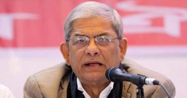 আমরা তো শাপলা দিতে বাধা দিইনি, ধানের শীষ নিয়ে টানাটানি কেন