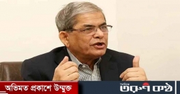 ঘোষিত সময়ে নির্বাচন হওয়া ছাড়া বিকল্প নেই : মির্জা ফখরুল