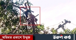 রামুতে গাছ কাটতে গিয়ে বিদ্যুৎস্পৃষ্ঠে যুবকের মৃত্যু