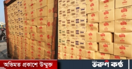 চট্টগ্রাম বন্দরে লাঙল আমদানির চালানে আসলো সাবান, শ্যাম্পু!
