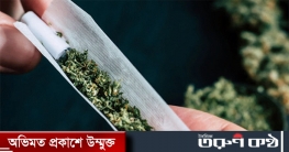 গাঁজা সেবনে বৈধতা দিল মেক্সিকোর আদালত