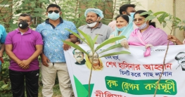 টঙ্গীতে মহিলা আওয়ামী লীগ নেত্রীর বৃক্ষরোপণ কর্মসূচি পালন