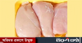 কৃত্রিম মুরগির মাংস দিয়েই ডিনার সারছে ইসরাইল কৃত্রিম মুরগির মাংস দিয়েই ডিনার সারছে ইসরাইল