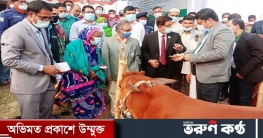 মাদারগঞ্জের ৩১৫ জন হতদরিদ্রদের মাঝে গরু বিতরন মাদারগঞ্জের ৩১৫ জন হতদরিদ্রদের মাঝে গরু বিতরন