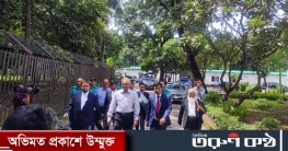 শেখ হাসিনার মামলায় মাহমুদুর রহমানের সাক্ষ্য শুরু