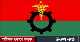 পাপুলের আসনে উপনির্বাচনে অংশ নেবে না বিএনপি