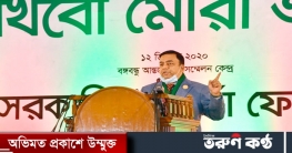ভাস্কর্য অবমাননাকারীদের বিরুদ্ধে কঠোর ব্যবস্থা: আইজিপি
