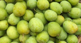 ফরমালিনমুক্ত আম চিনবেন যেভাবে