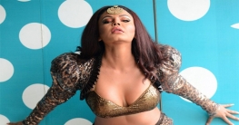 ফের বির্তকে রাখি