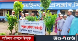 গোয়াইনঘাটে শিক্ষা প্রতিষ্ঠানে উদীয়মান তরুণ সংঘের বৃক্ষরোপণ গোয়াইনঘাটে শিক্ষা প্রতিষ্ঠানে উদীয়মান তরুণ সংঘের বৃক্ষরোপণ