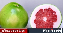 জাম্বুরা কেনো খাবো