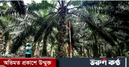 অবৈধ শ্রমিকদের বৈধকরণে সুখবর দিল মালয়েশিয়া