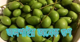 জলপাইর অনেক গুণ