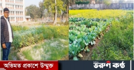 চকবরকত পুলিশ ফাঁড়ির পতিত জমিতে সবজি চাষে সাফল্য চকবরকত পুলিশ ফাঁড়ির পতিত জমিতে সবজি চাষে সাফল্য
